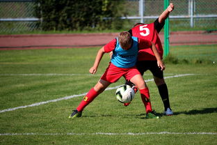 开云网站-篮球运动员训练负荷监控系统开发与应用研究，篮球运动员运动负荷量