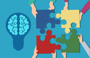 开云官网-青少年运动损伤防护知识普及策略及效果评估，青少年运动损伤防护知识普及策略及效果评估