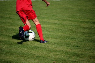 开云官方网页登录-中国足球青训体系引进国际先进训练理念，中国足球青训体系是什么