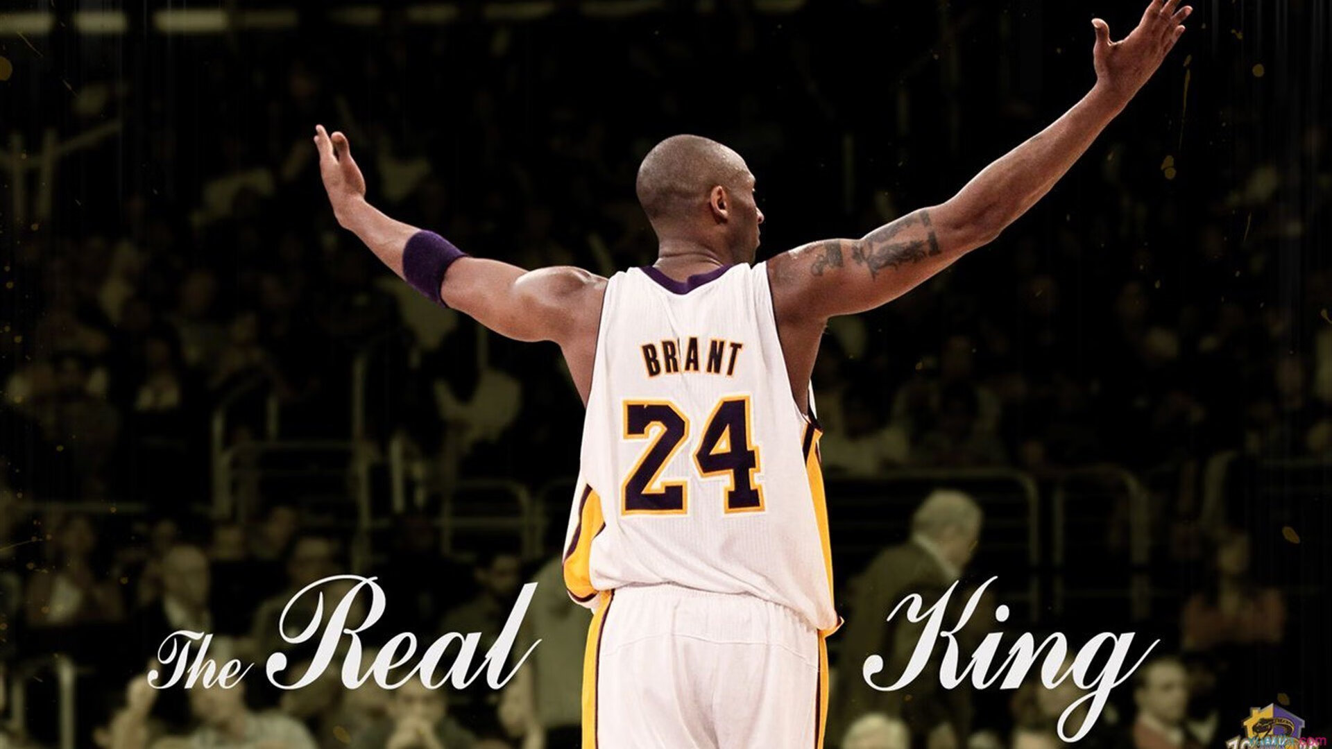 自由泳短距离波兰选手冲入前列，自由泳慢放视频